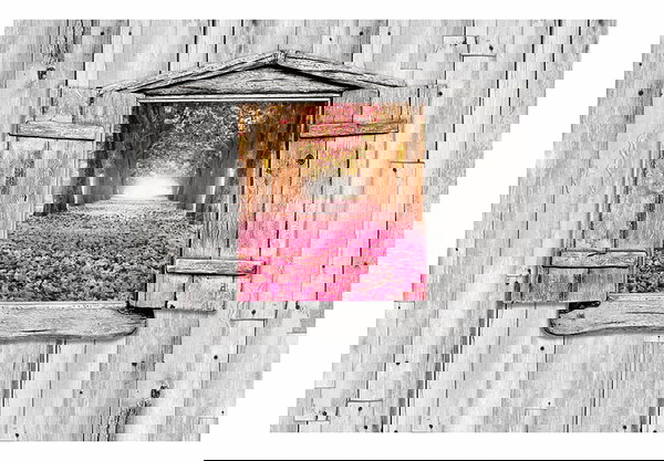 Behang 'Spring Is Here'