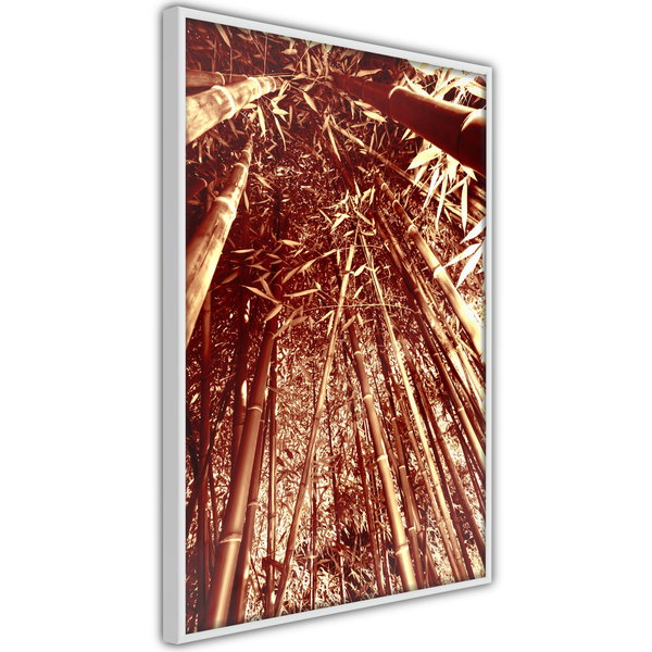 Poster 'Asian Forest'