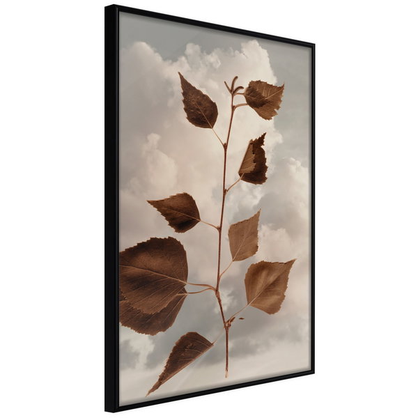 Juliste 'Leaves in the Clouds'