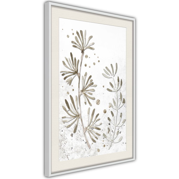 Poster 'Dried Plants'