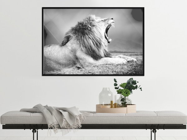 Poster 'Yawning Lion'