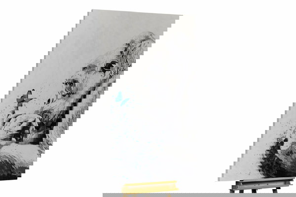 Un ejemplar único para su hogar o puesto de trabajo