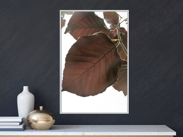 Poster 'Burgundy Tilia Leaf'