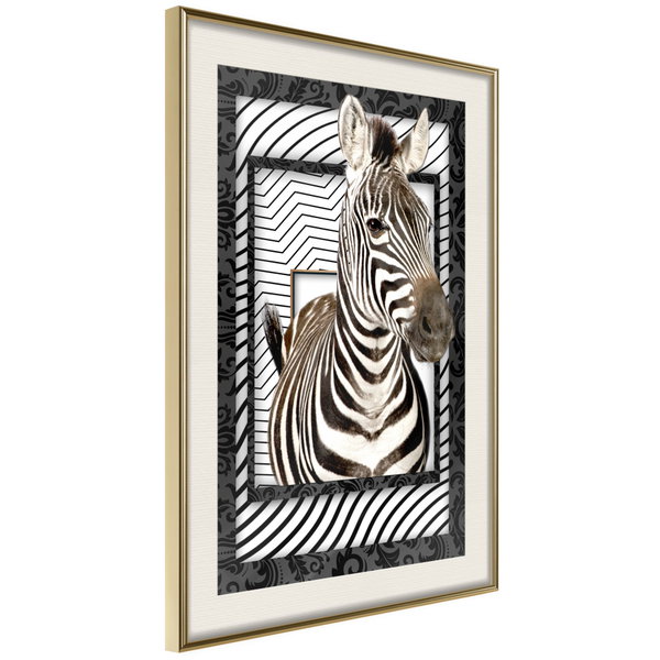 Poster 'Zebra in the Frame'
