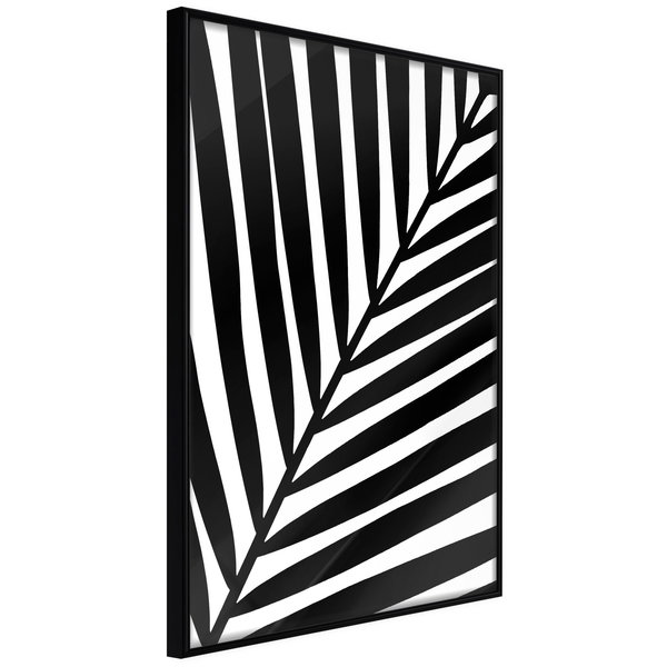 Plagát 'Black Palm'