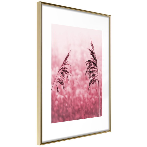 Poster 'Amaranth Meadow'