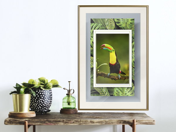 Poster 'Toucan in the Frame'
