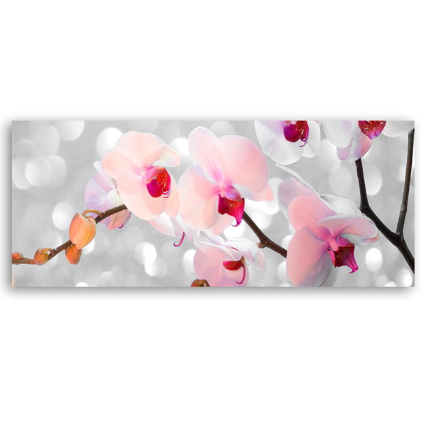 Kunstdruck auf Leinwand 'Pink Orchids'