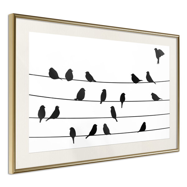 Poster 'Birds Council Meeting'