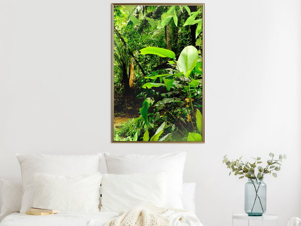 Poster 'In the Rainforest'