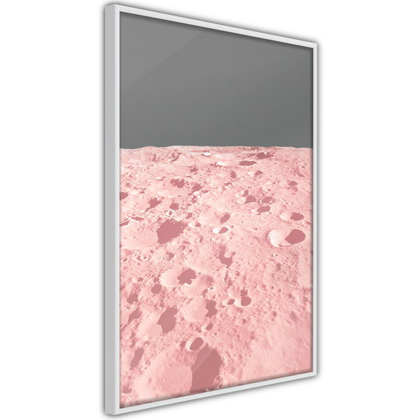 Poster 'Pink Moon'