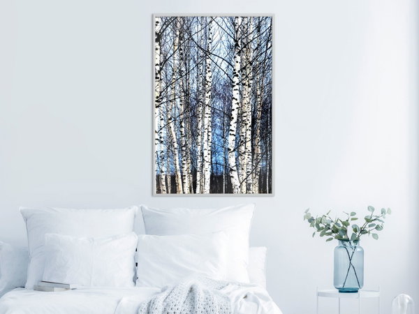 Poster 'Winter Birch Trees'