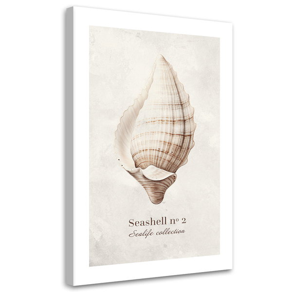 Kunstdruck auf Leinwand 'Seashell #2'