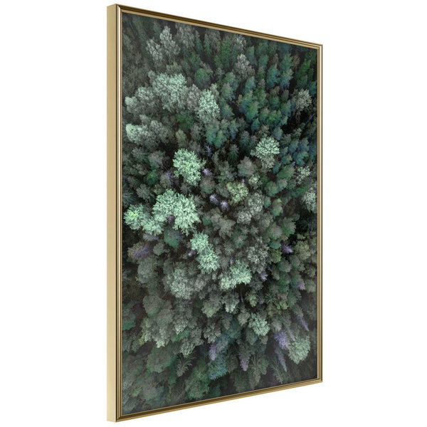 Poster 'World from High Above'