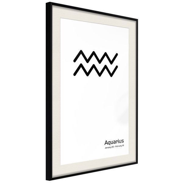 Poster 'Zodiac: Aquarius II'