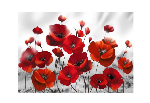Selbstklebende Tapete 'Glowing poppies'
