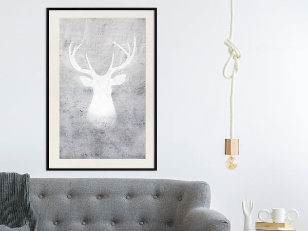 Poster 'White Shadow'