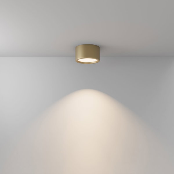 Ceiling Light 'Hydra 5'