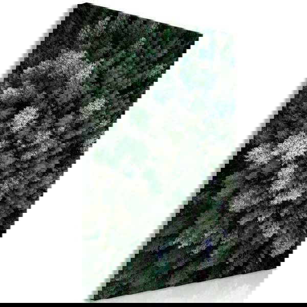 Impression sur toile 'Flying Over Forest Vertical'