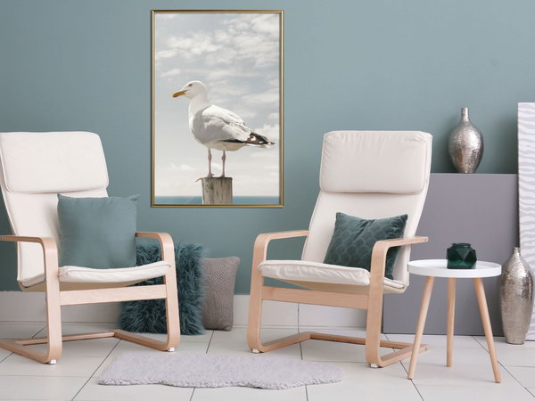 Poster 'Curious Seagull'