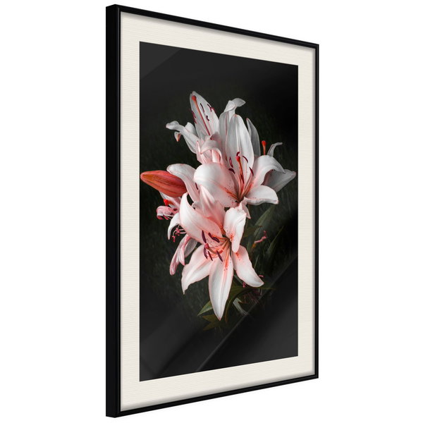 Poster 'Pale Pink Lilies'