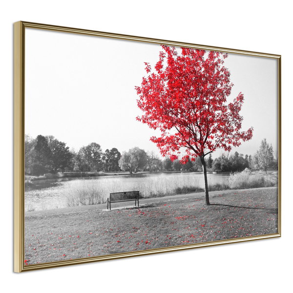 Poster 'Autumn Colours I'