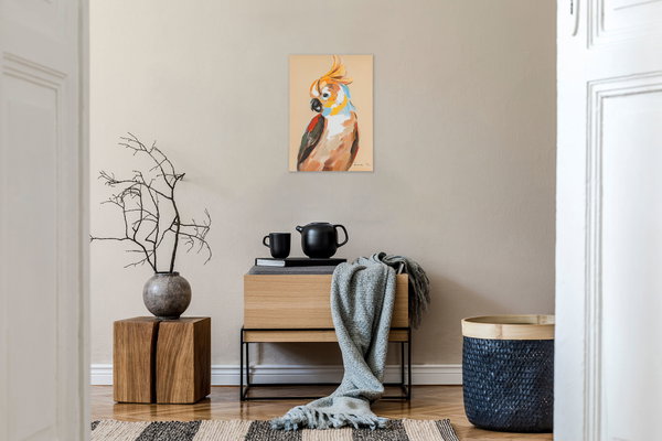 Embeleze a sua casa