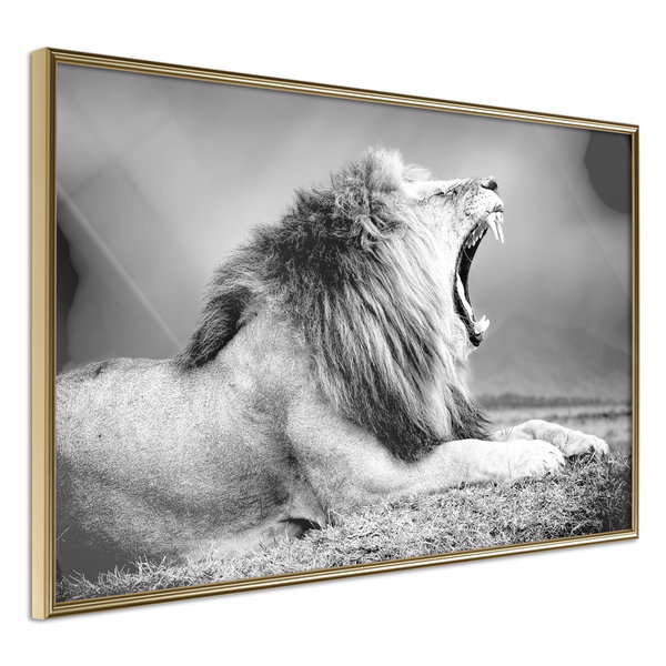 Poster 'Yawning Lion'
