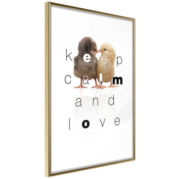Poster 'Keep Calm and Love'