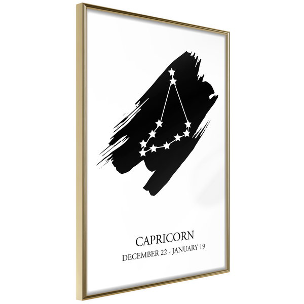 Poster 'Zodiac: Capricorn I'