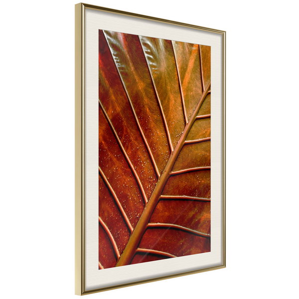 Poster 'Bronze Leaf'