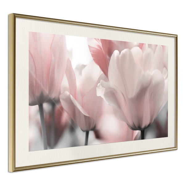 Poster 'Pastel Tulips II'
