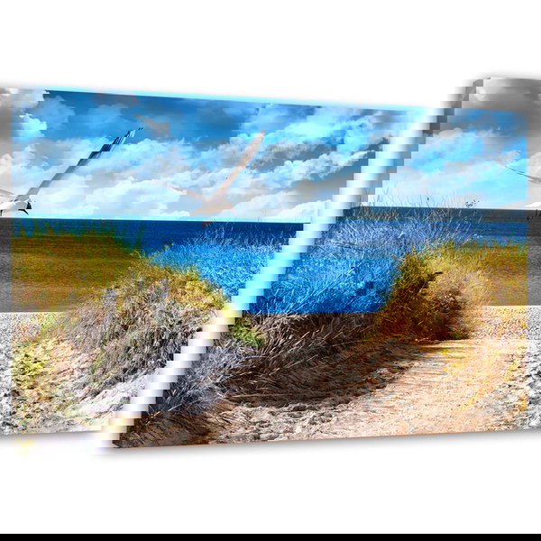 Impressão em tela 'Gull Flight'