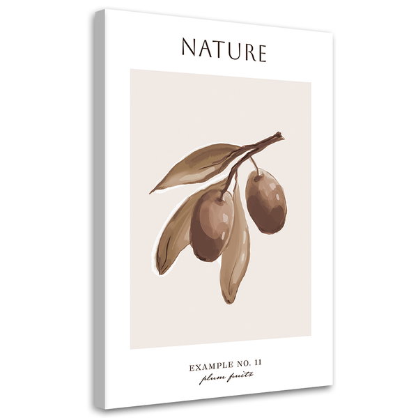 Kunstdruck auf Leinwand 'Plum Fruits'