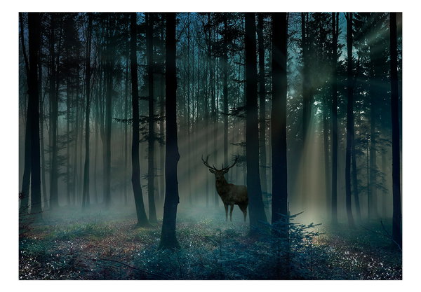 Tapete 'Mystical Forest - Third Variant'