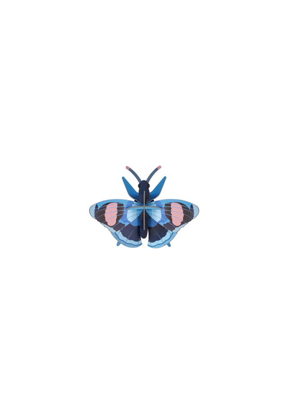 Wanddeko Papier 'Azur-Flug-Trio'