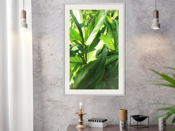Poster 'Somewhere in the Garden'