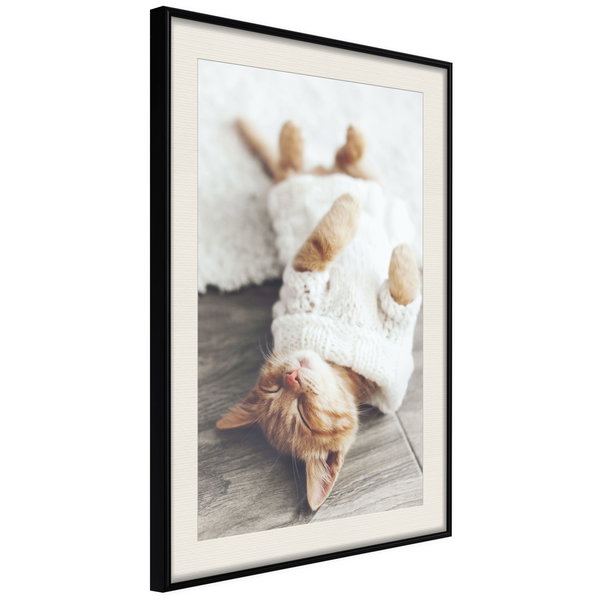 Poster 'Lazy Cat'