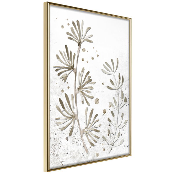 Poster 'Dried Plants'
