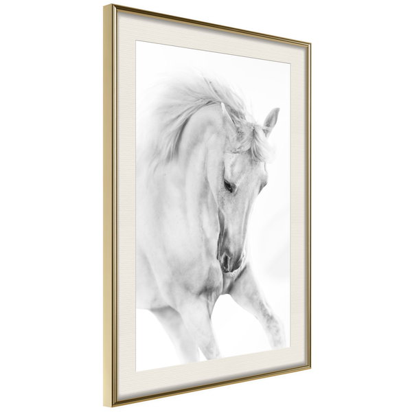 Poster 'White Horse'