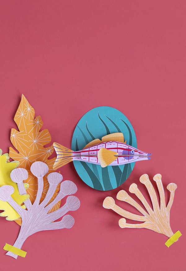 Wanddeko Papier 'Langnasen-Falkenfisch'