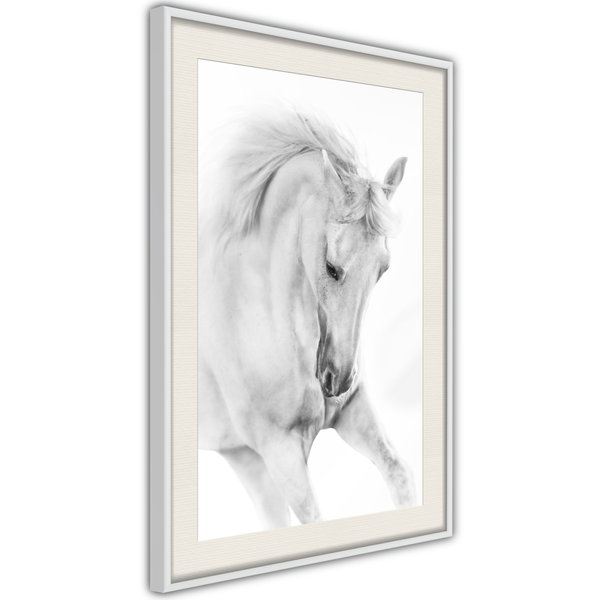 Poster 'White Horse'