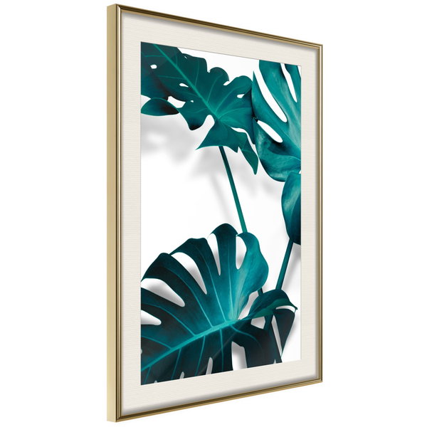 Poster 'Turquoise Monstera II'