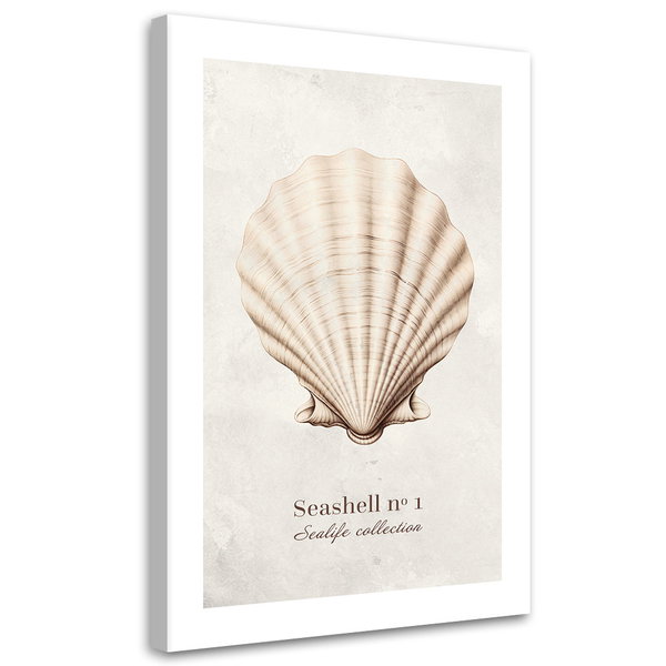 Kunstdruck auf Leinwand 'Seashell #1'