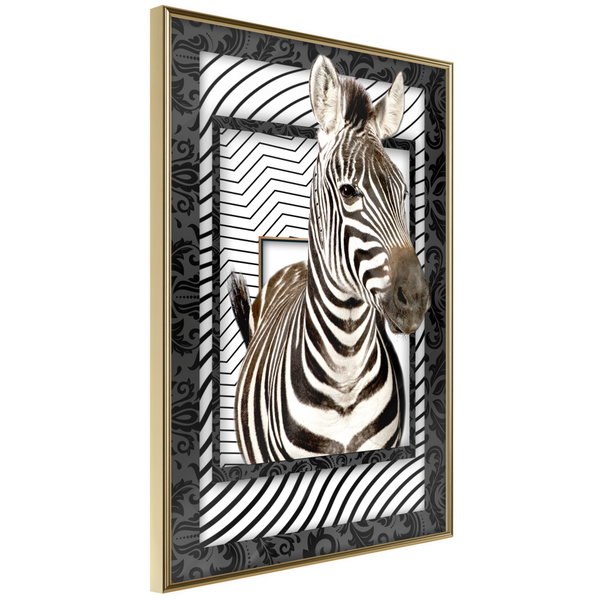 Poster 'Zebra in the Frame'