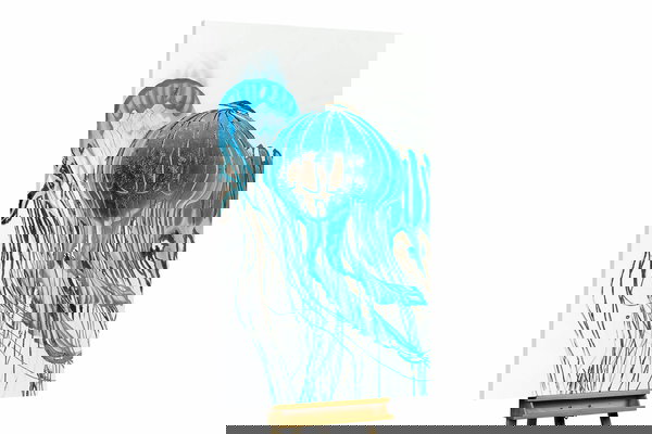 Een uniek exemplaar voor je interieur