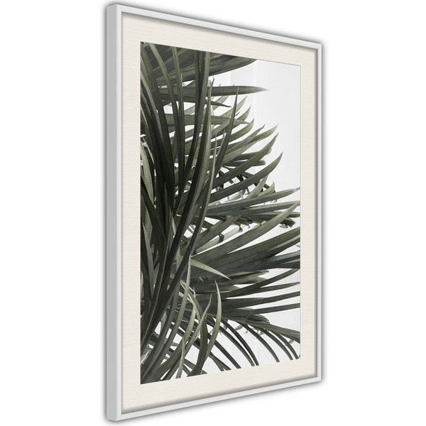 Poster 'Little Tropics'