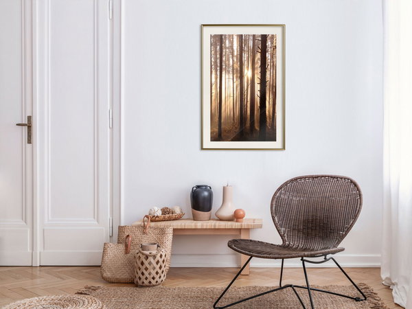 Poster 'Morning in the Forest'