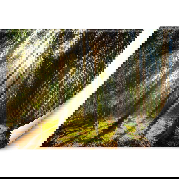 Papier peint 'Sunbeam Dance'