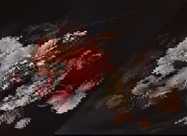 Tapeta 'Blossom Variety 1' 350x255cm